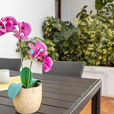 Apartmán Martin Lafar *