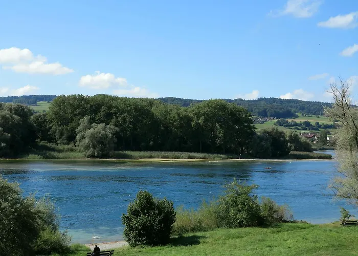 Martin Lafar Ohningen