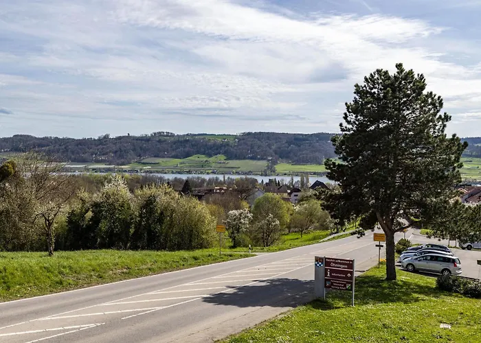 Martin Lafar 公寓 *