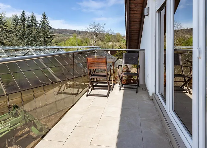 Martin Lafar Ohningen