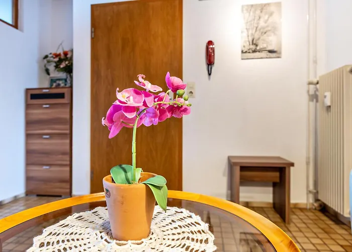 Martin Lafar Apartament